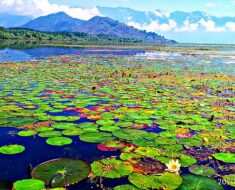 Walur Lake - Largest Freshwater Lake in India