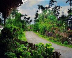 Mawlynnong - Cleanest Village in Asia