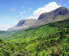 Anamudi Peak, Munnar, Kerala