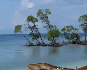 Havelock Island