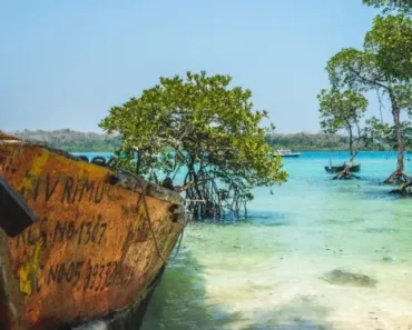 andaman-nicobar-island
