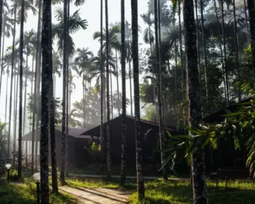 Coorg weekend getaway bangalore