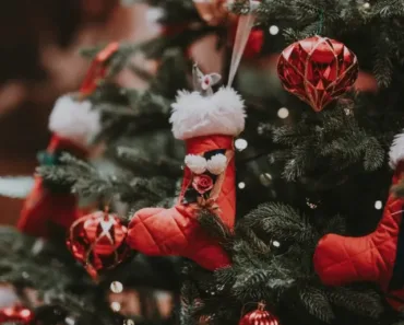 Best Places to celebrate Christmas in India
