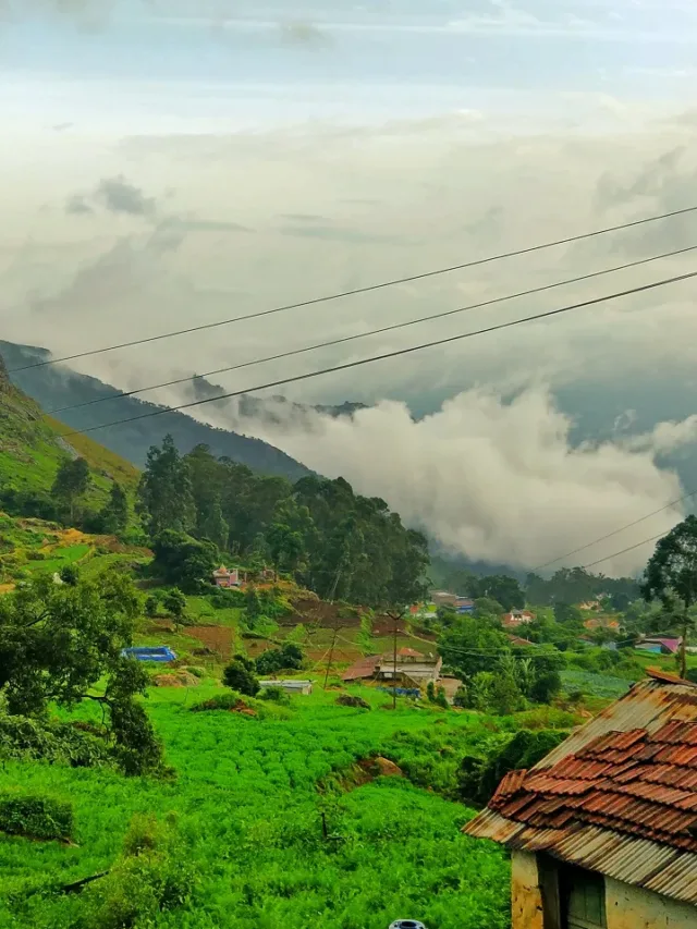 Top 10 Tourist Places to Visit in Ooty