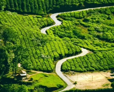 tourist places to visit in Munnar