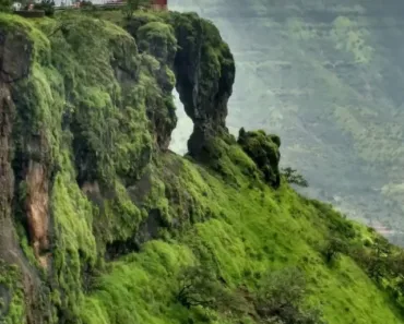 Elephant hill